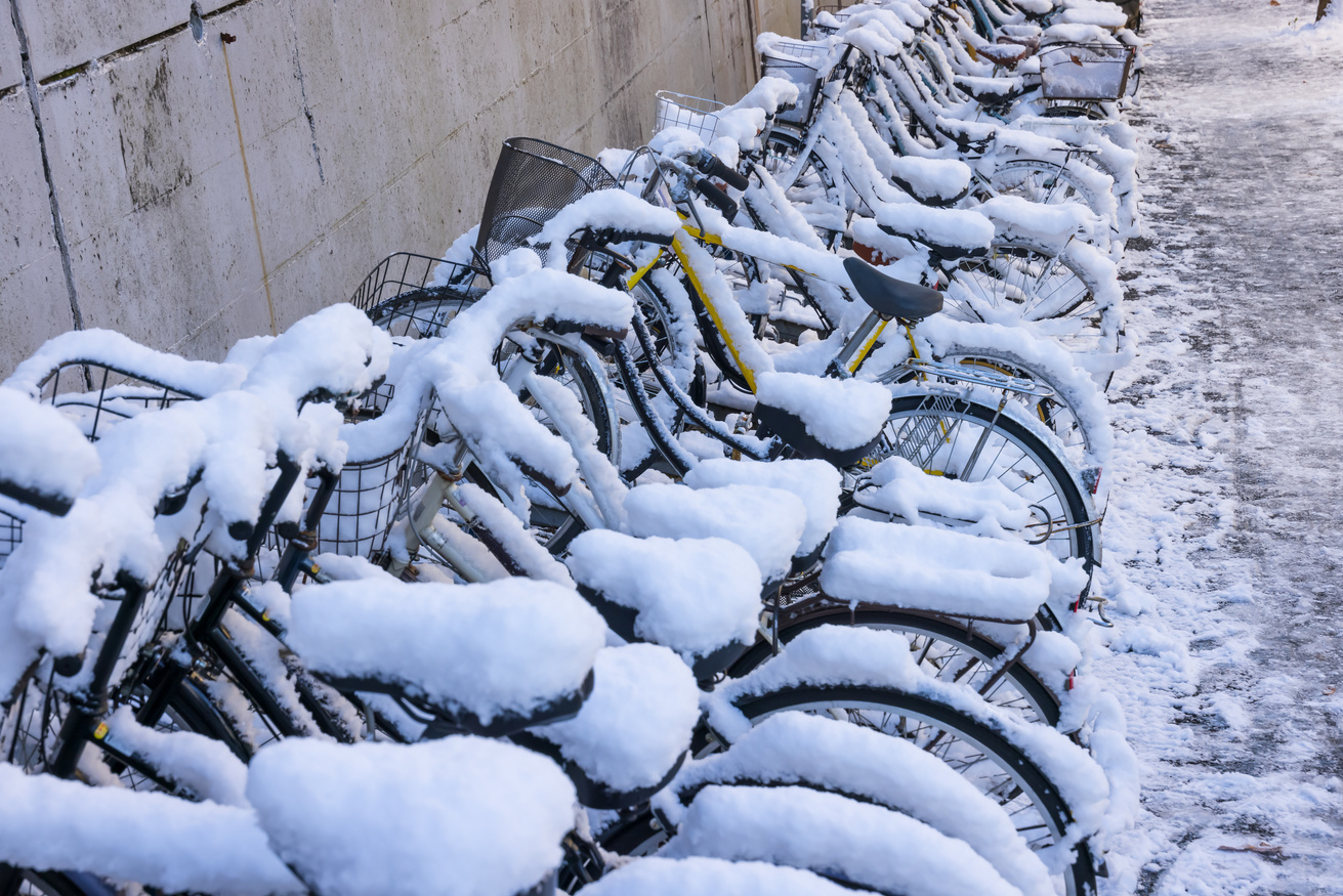 Bicycle storage the next morning after it snows